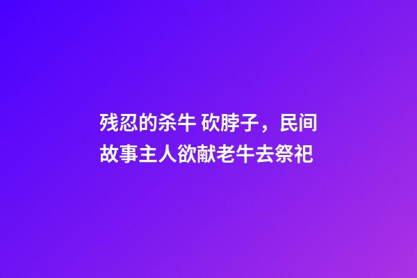 残忍的杀牛 砍脖子，民间故事主人欲献老牛去祭祀-第1张-观点-玄机派